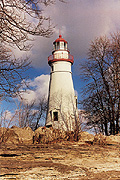 You can see an enlarged version of this picture by clicking here.