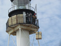 You can see an enlarged version of this picture by clicking here.