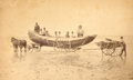 You can see an enlarged version of this picture by clicking here.