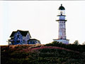 You can see an enlarged version of this picture by clicking here.