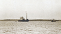 You can see an enlarged version of this picture by clicking here.