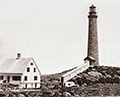 You can see an enlarged version of this picture by clicking here.