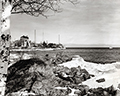 You can see an enlarged version of this picture by clicking here.