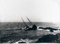 You can see an enlarged version of this picture by clicking here.