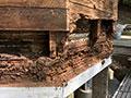 You can see an enlarged version of this picture by clicking here.